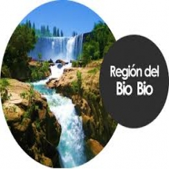 SSTT Regin del BioBio